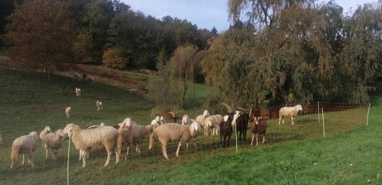 Hotel Antica Cascina Del Medico Muzzano Zewnętrze zdjęcie